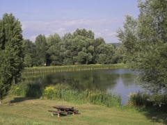 Danube