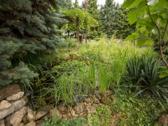 Garden Pond