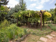 Green garden