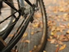 Budapest by bike