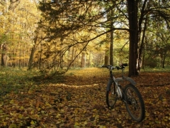 Budapest city bike