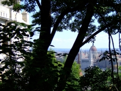 Parlament